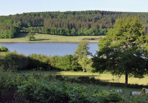 Les lacs du Morvan 2022 (1 lac)