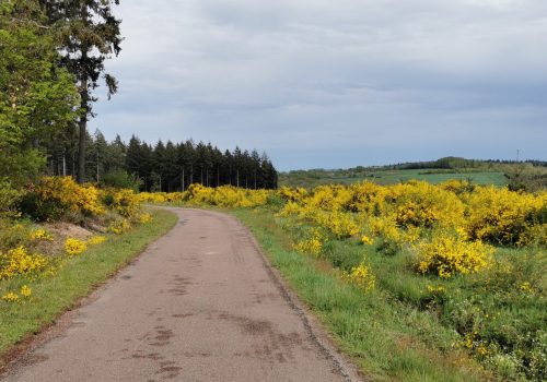 Petites routes et chemins de l’Auxois-Morvan
