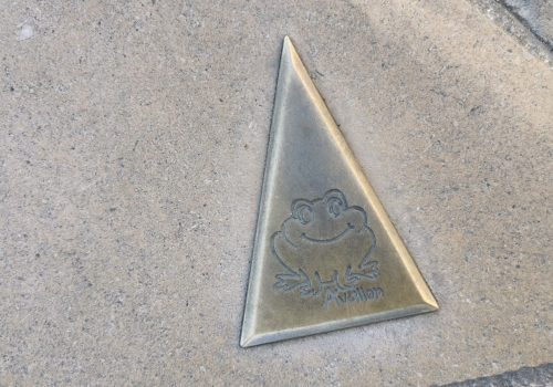 Le circuit de la Grenouille