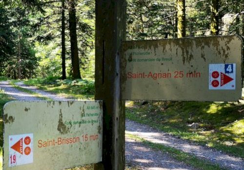 Grande Traversée du Morvan