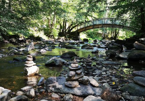 La vallée du Cousin