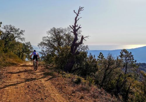 Roc d’Azur 2022 – Marathon