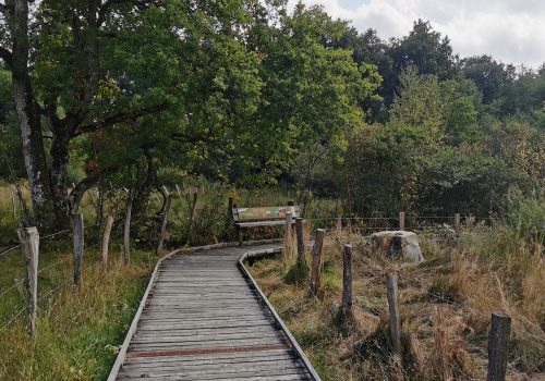 Tour du Lac de Saint Agnan